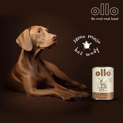 Ollo Pure Jeleń 850g