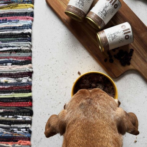 Ollo Pure Jeleń 850g