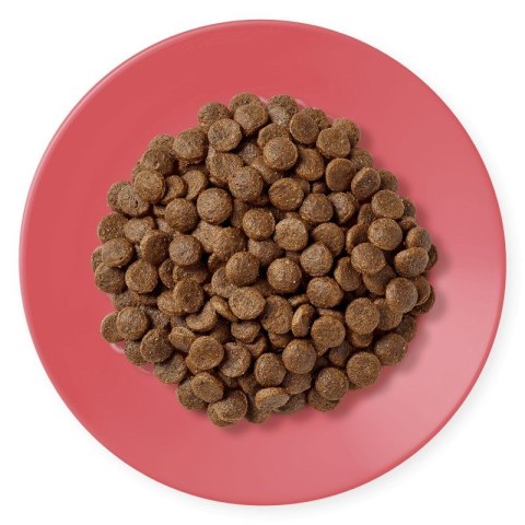 Applaws Cat Dry Chicken with Extra Duck 400g