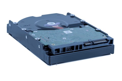 Dysk HDD WD Red Plus WD80EFPX (8 TB ; 3.5"; 256 MB; 5640 obr/min)