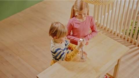 Blender bosch z pojemnikiem srebrny