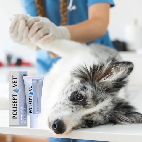 JM SANTE POLISEPT VET GEL PRO SILVER opatrunek żelowy 30ml