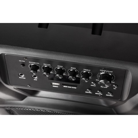 Aktywna kolumna głośnikowa (z 2 mikrofonami bezprzewodowymi UHF, SD, Bluetooth, FM, USB) 60 Watt