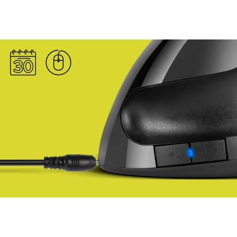 Bezprzewodowa mysz pionowa Rebel WM500