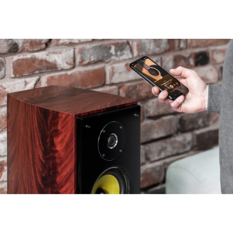 Kolumny głośnikowe aktywne Kruger&Matz Destiny, zestaw 2.0