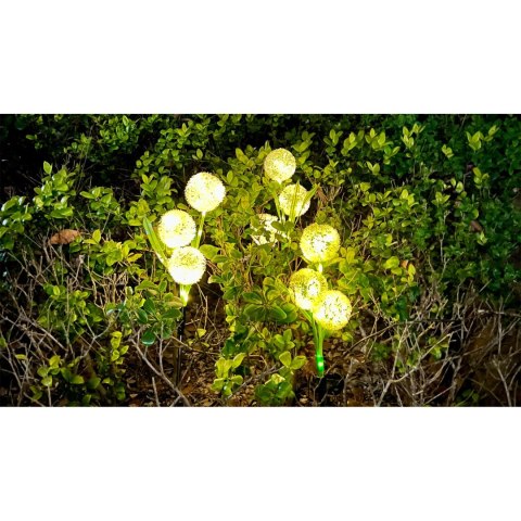 Ogrodowe ozdobne lampki solarne Rebel- czosnek ozdobny