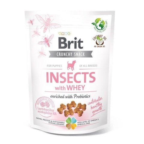 BR.CARE DOG CRUNCHY CRACKER PUPPY INSECT 200g