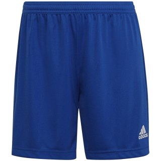 ND05_S10364-XL HH9998 Spodenki damskie adidas Entrada 22 niebieskie HH9998 r.XL