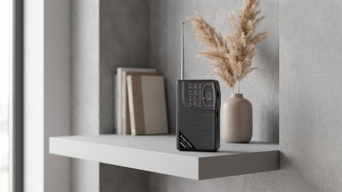 Radio przenośne analogowe Kruger&Matz model KM0829