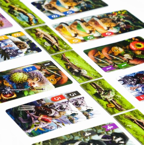 GRA Spór o bór 53768