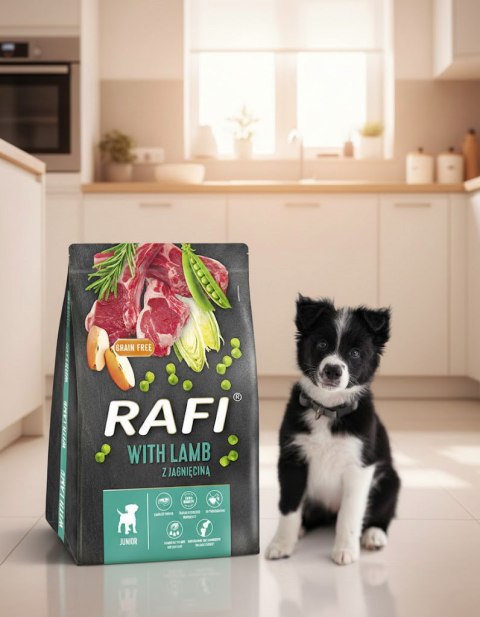 Sucha Karma Dla Psa RAFI JUNIOR z Jagnięciną 3 kg - 2 szt.