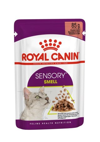 Karma Royal Canin Sensory Smell gravy 12x85g