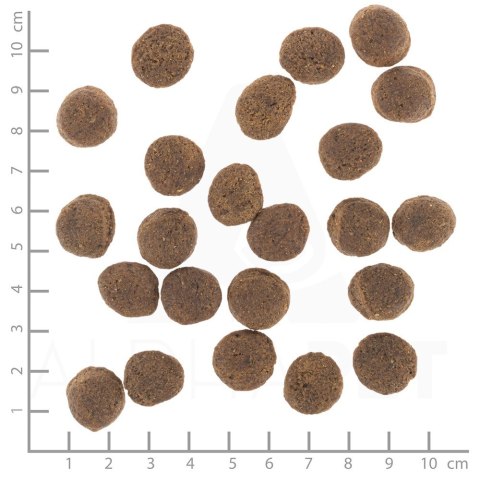 WOLFSBLUT Vetline Gastrointestinal 2kg