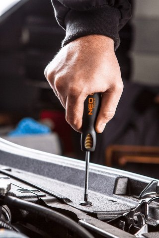 Wkrętak Torx T25 x 100 mm, S2