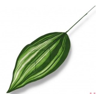 Liść dekoracyjny
