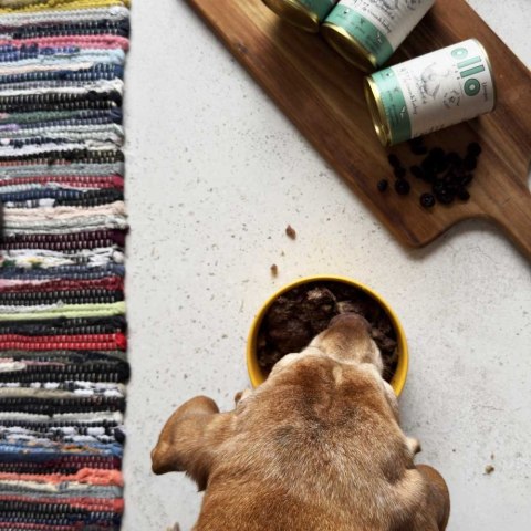 Ollo Umami Gęś i Indyk 850g