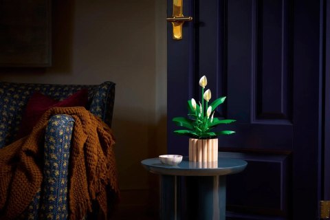 LEGO Botanical 11504 Skrzydłokwiat w doniczce