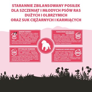 PUPIL PREMIUM JUNIOR XL bogata w wołowinę 12kg