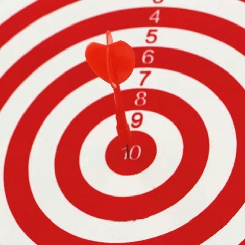 AG144E Tarcza dart dwustronna 30cm