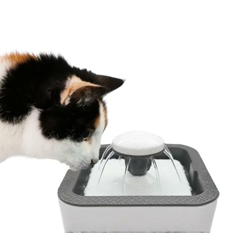 DA546 Poidełko fontanna automatyczna dla kota psa 2,5l