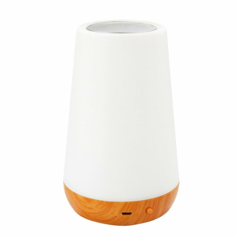 ZD179 Nocna lampka dotykowa led + pliot