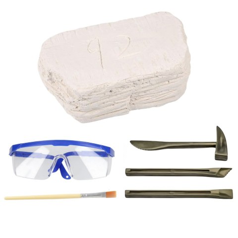 Zestaw Archeologiczny Wykopaliska Czaszek Kości Narzędzia Akcesoria