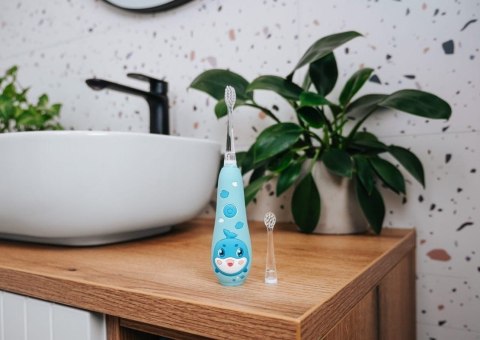 Szczoteczka soniczna niebieska ZK3020 CONCEPT