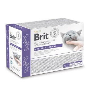 Brit VD Cat Pouch fillets in Gravy Gastrointest 12x85g
