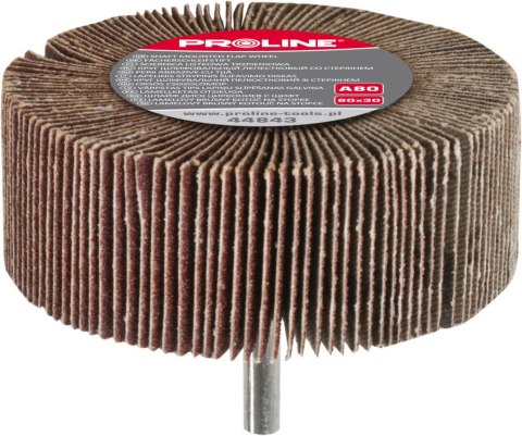 Ściernica listkowa trzpieniowa, a120, 80x30 proline
