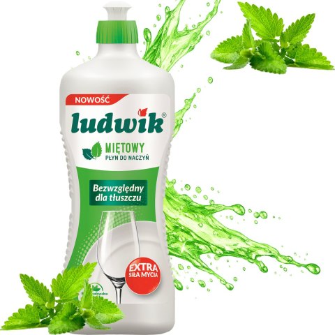 Ludwik Płyn Do Naczyń Miętowy Butelka 900g