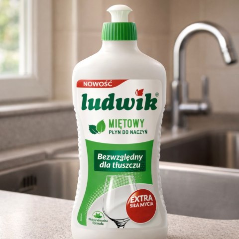 Ludwik Płyn Do Naczyń Miętowy Butelka 900g