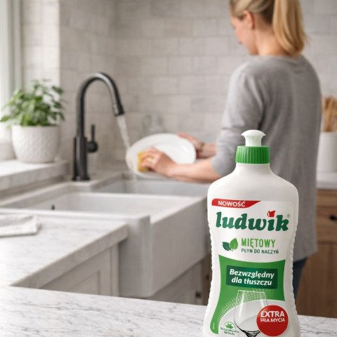 Ludwik Płyn Do Naczyń Miętowy Butelka 900g