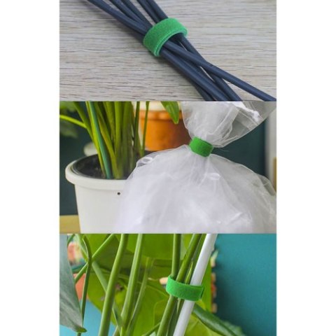 Rzep- taśma ogrodnicza 5m Gardlov 25362