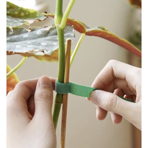 Rzep- taśma ogrodnicza 5m Gardlov 25362