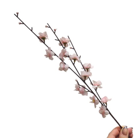 Jabłonka gałązka pojedyncza