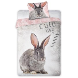Pościel bawełna 140x200+1p70x90 Królik