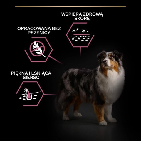 Purina Pro Plan Medium & Large 7+ Sensitive Optiderma Łosoś I Ryż 14kg
