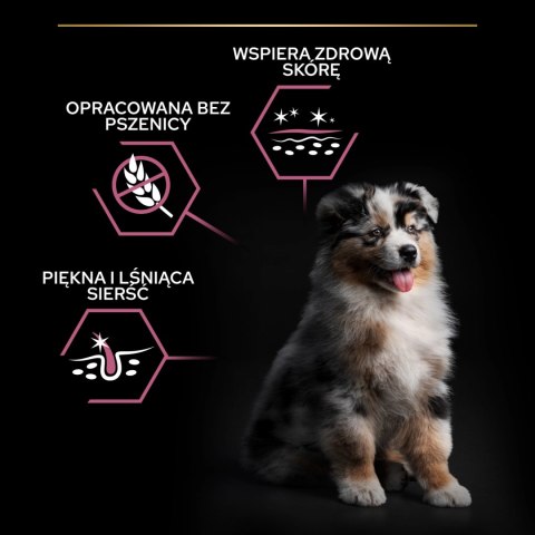 Purina Pro Plan Medium Puppy Sensitive Optiderma Łosoś I Ryż 12kg