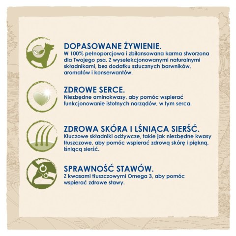 Purina Dog Chow Large Breed Adult Z Indykiem 14kg