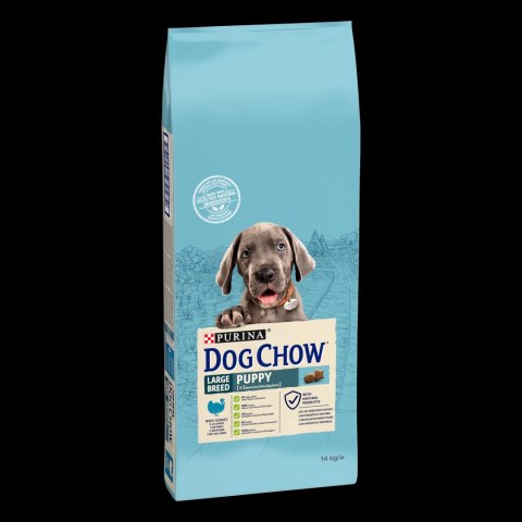Purina Dog Chow Large Breed Puppy Z Indykiem 14kg
