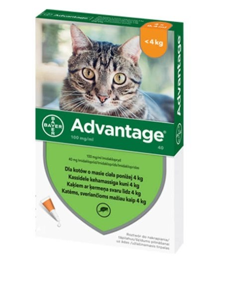 Bayer Advantage Roztwór Do Nakrapiania Dla Kotów 4x0,4ml