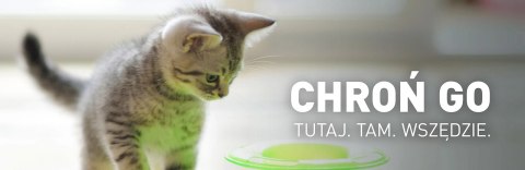 FRONTLINE Combo Spot-On Dla Kotów 3x0,5ml