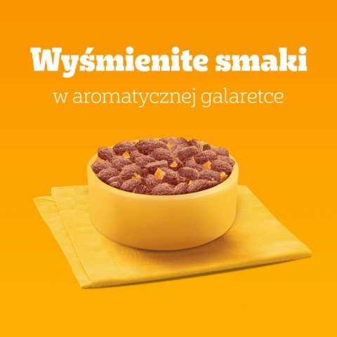 Pedigree Mokra Karma Dla Dorosłych Psów Z Wołowiną W Galaretce 1200g