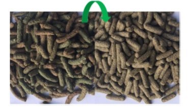 Versele-Laga Cuni Junior Complete - Pokarm Dla Młodych Królików 500g