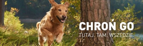 FRONTLINE Tri-Act Dla Psów 3x1ml