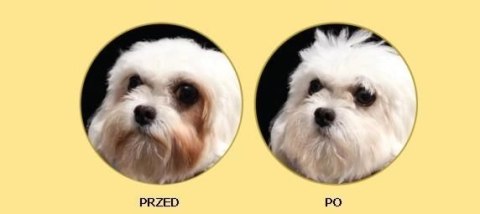 Nature's Protection Superior Care White Dogs Adult Small Breed With Lamb 1,5kg