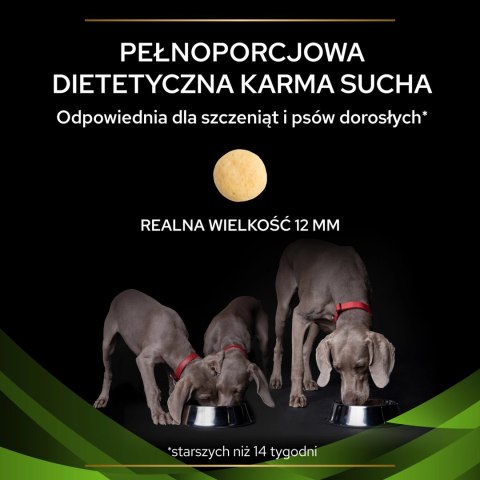 PURINA Pro Plan Veterinary Diets HA Hypoallergenic Dog 11kg