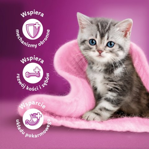 WHISKAS Karma Sucha Dla Kociąt Junior Z Kurczakiem 14kg