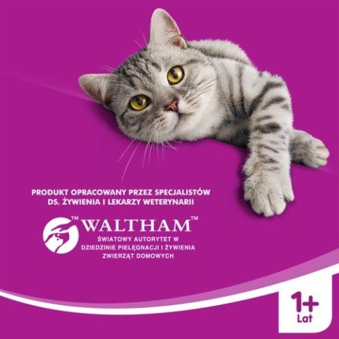 WHISKAS Karma Sucha Dla Kota 1+ Z Tuńczykiem 14kg