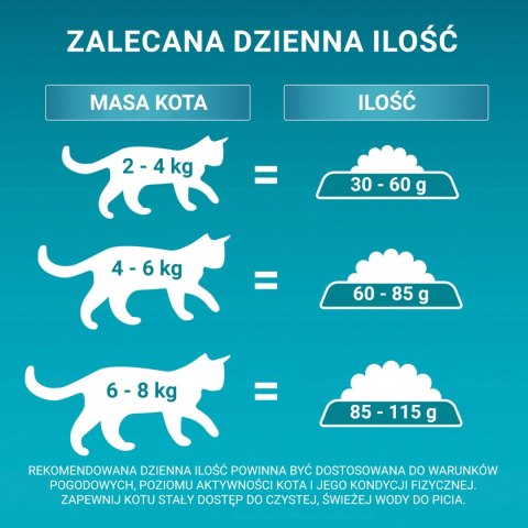 Purina One Cat Adult Karma Z Wołowiną Dla Kota 800g
